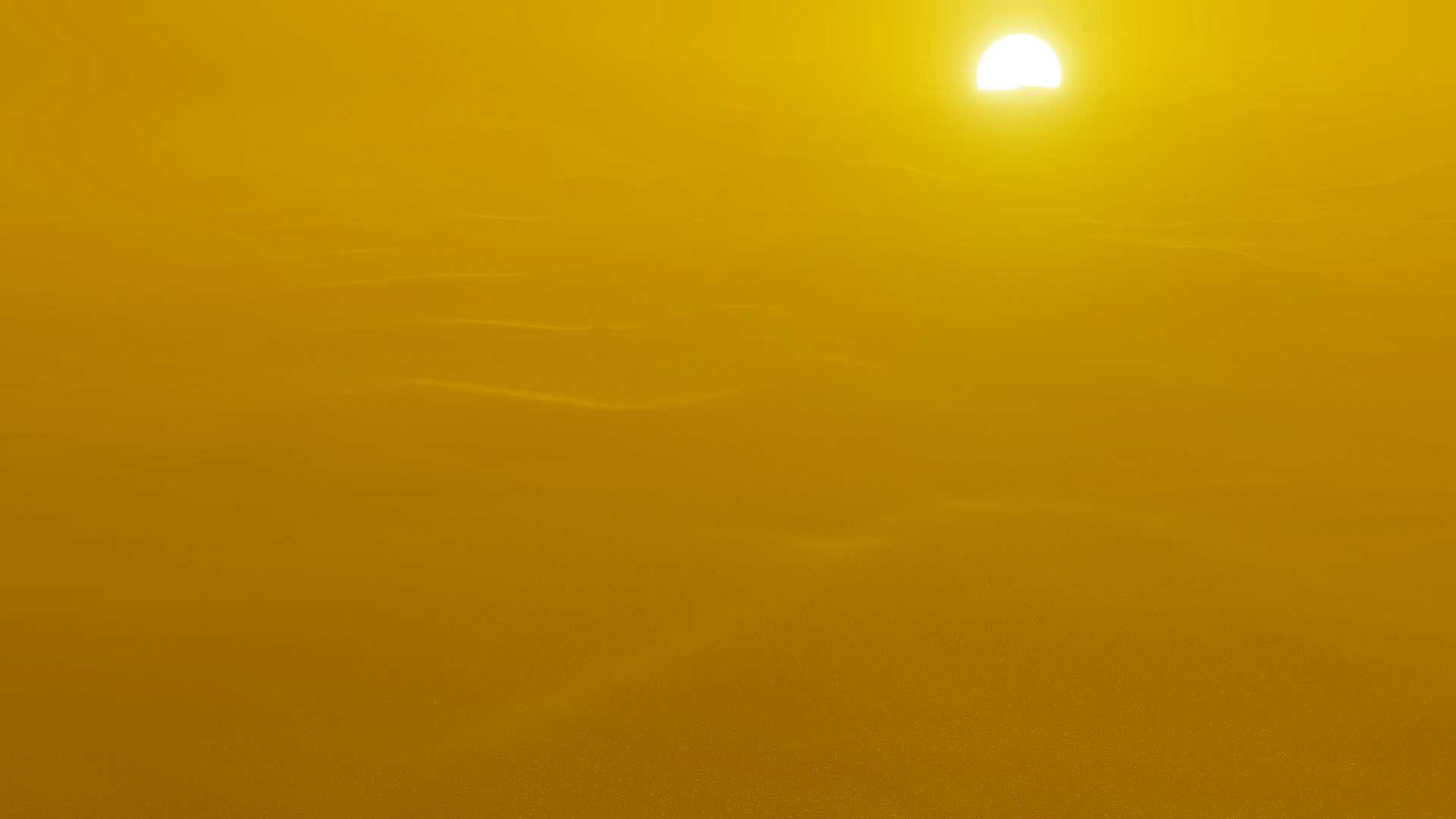 yellowed_cade-white-tH6VS-jnEdM-unsplash